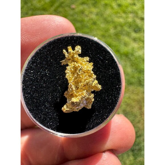 California Gold Crystal - 1.74 grams - Picture 7 of 11